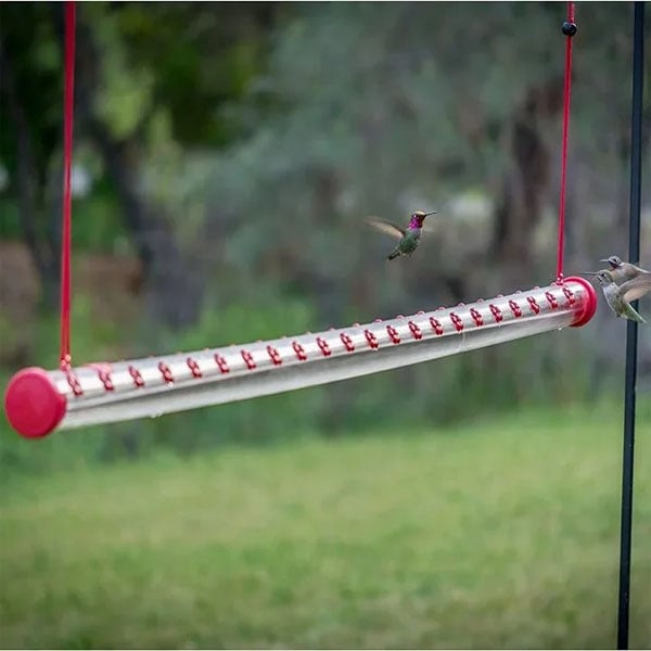 Sherum Flower Bar Hummingbird Feeder