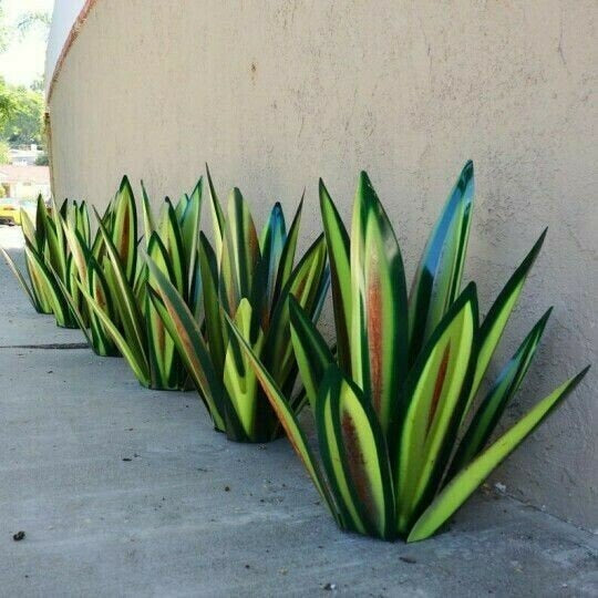 Sherum Anti-rust Metal Tequila Agave Plant